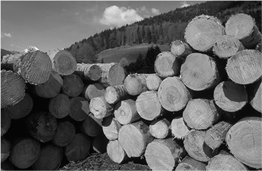 武漢全房家具定制